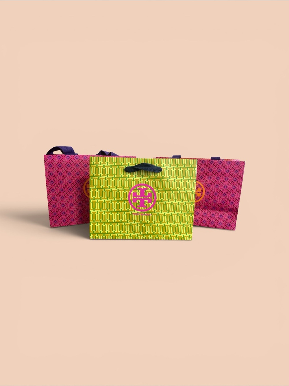 Vibrant Tory Burch Tote Shopping Bags Set with Logo